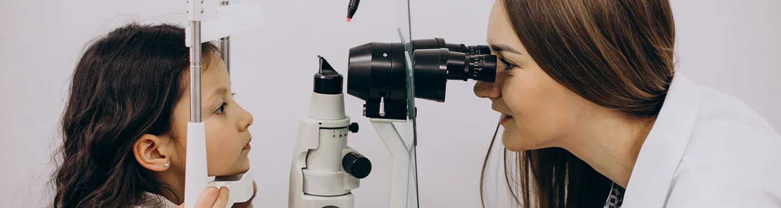 bsc optometry details