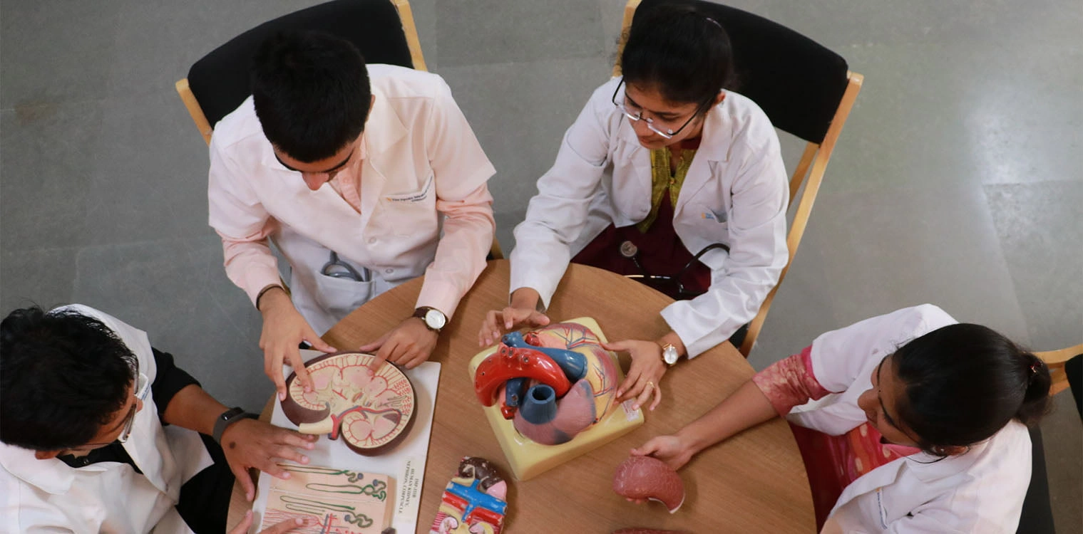 highlights of B Optometry programme at The Apollo University