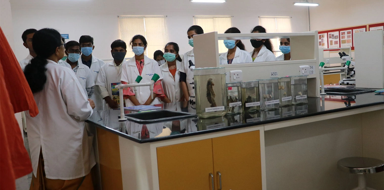 Clinical Application Therapists