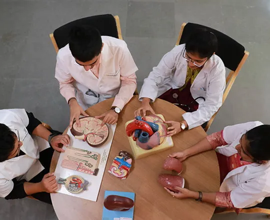 biomedical research placements