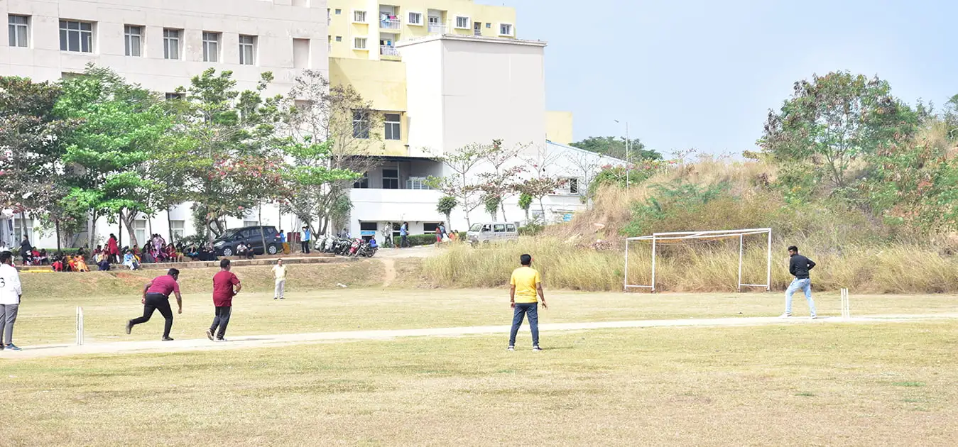 Cricket