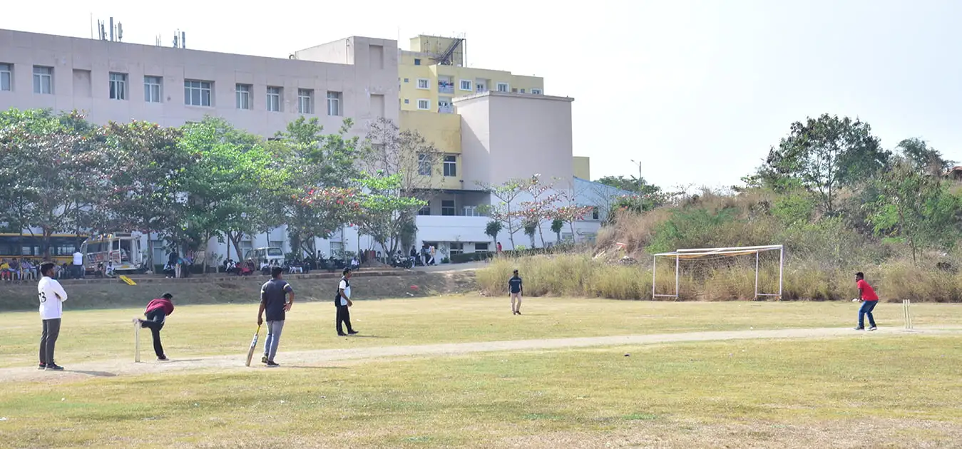 Cricket