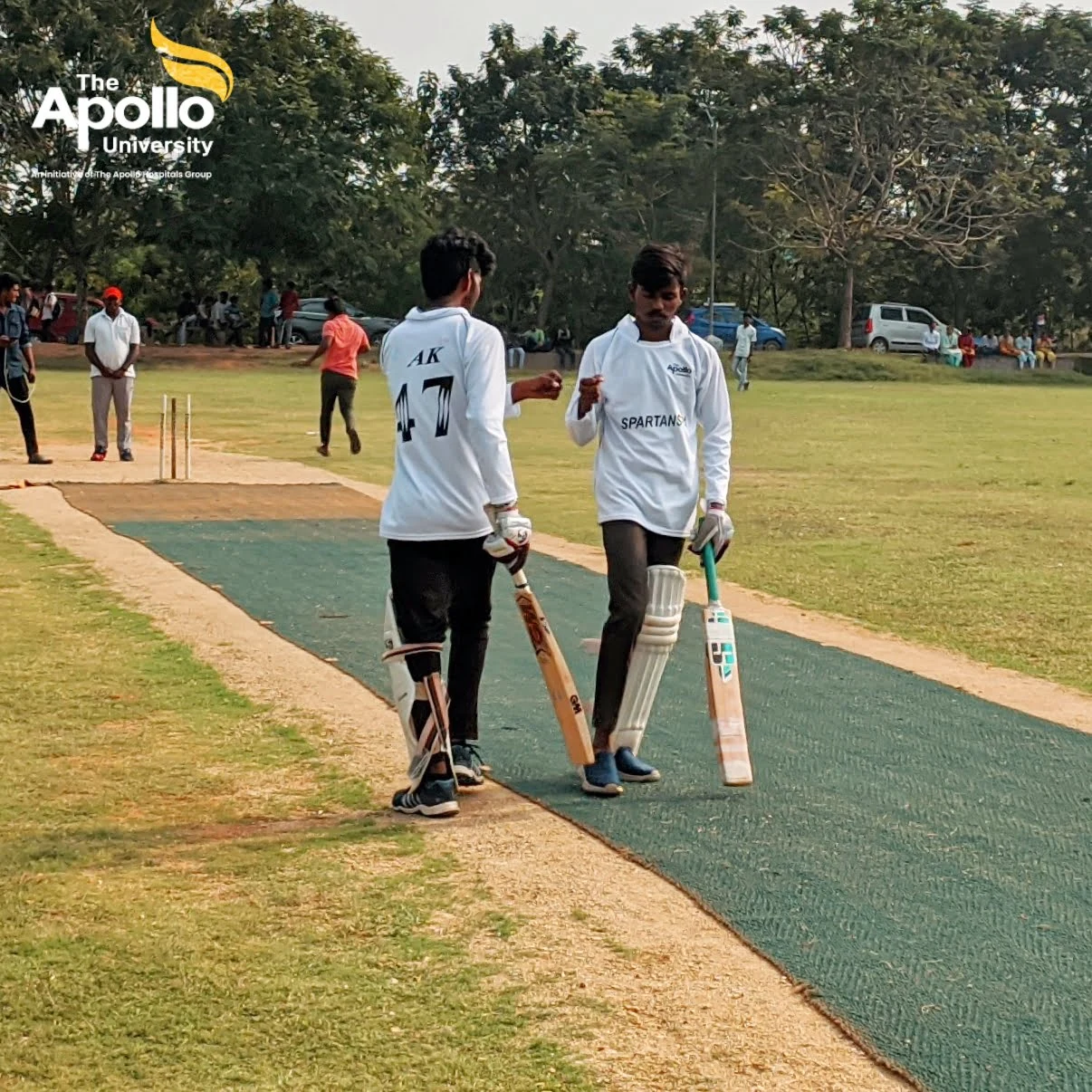 Cricket