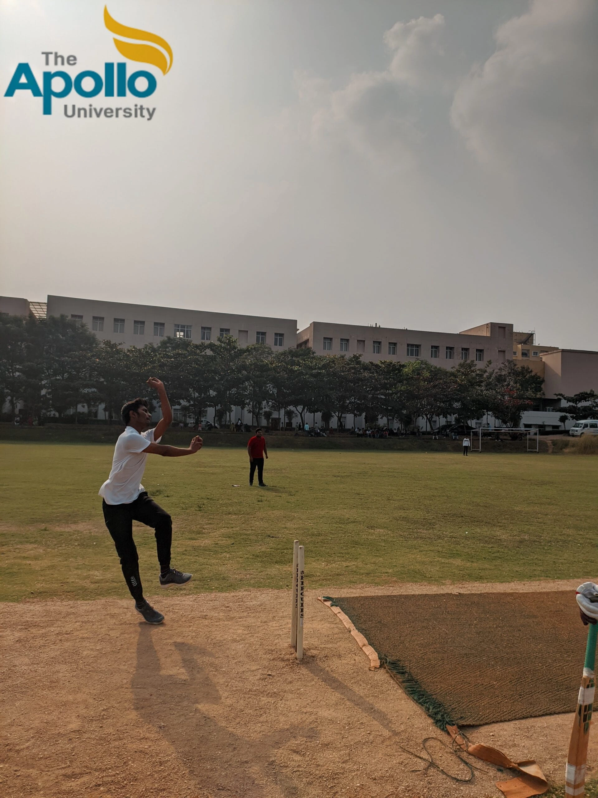 Cricket