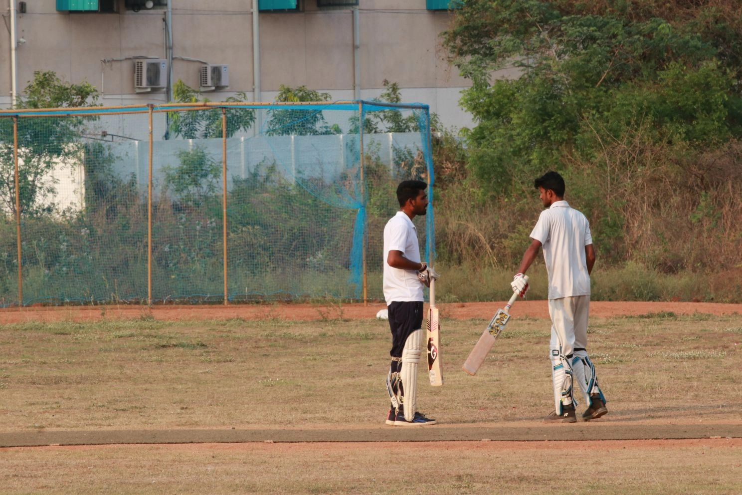 Cricket