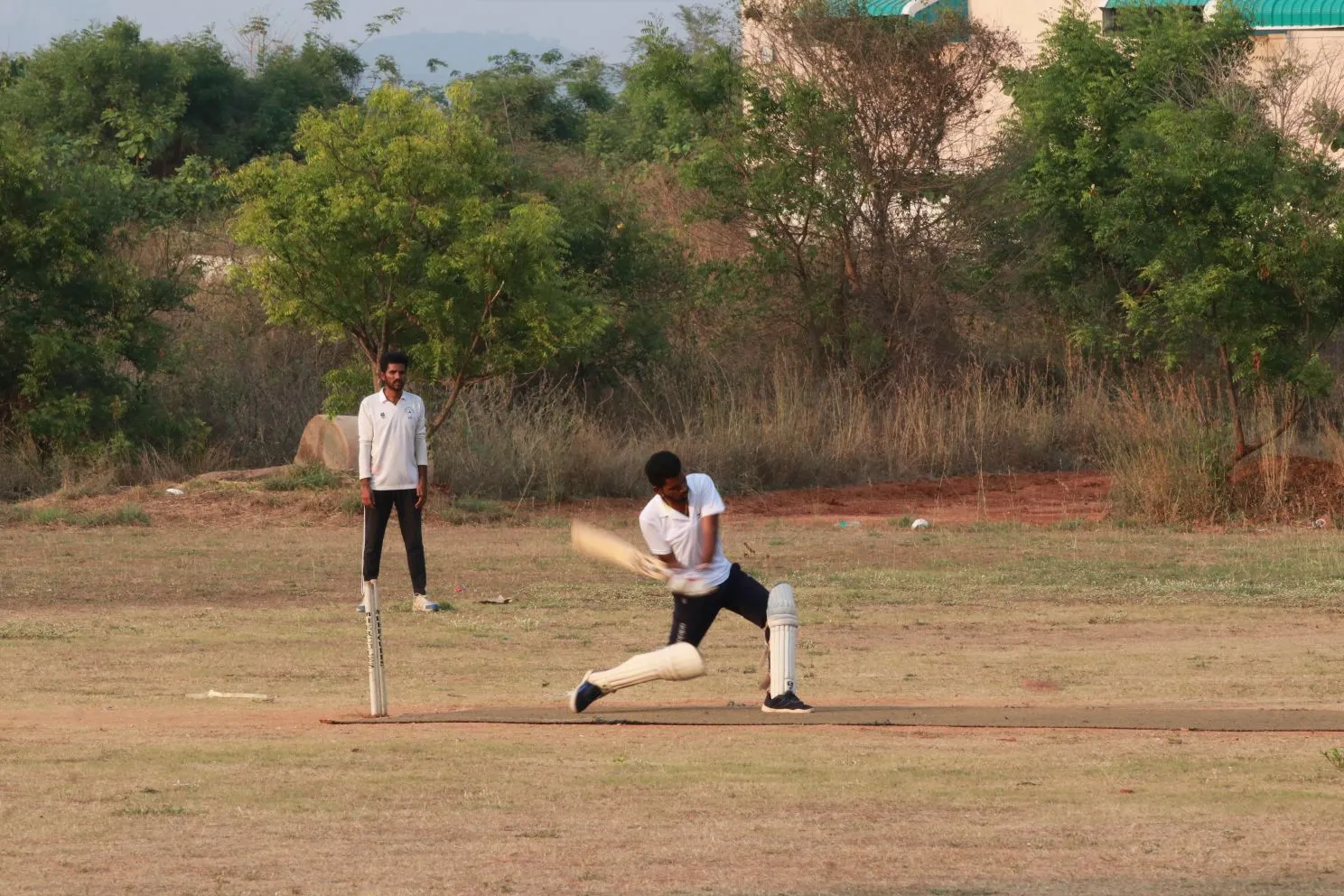 Cricket