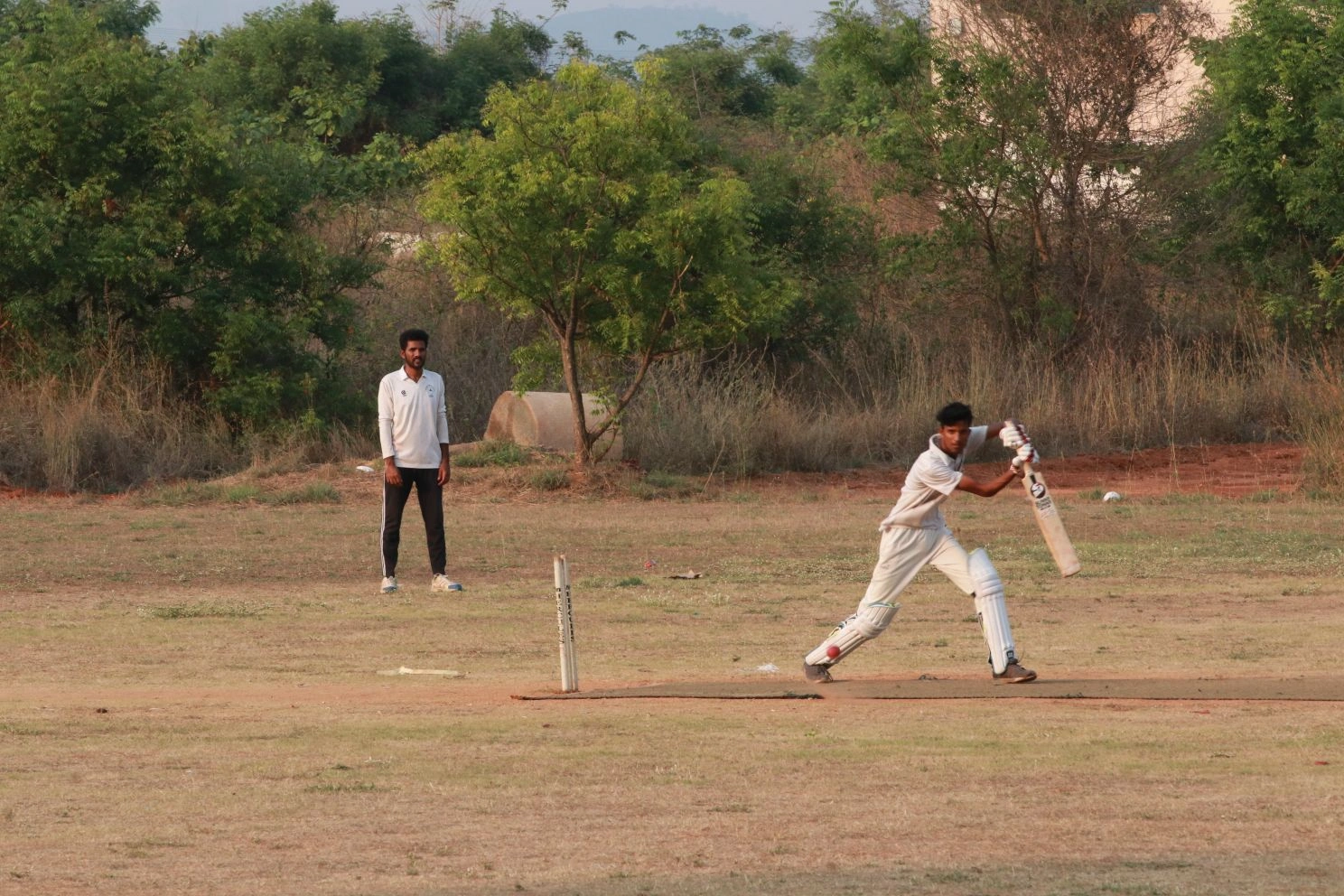 Cricket