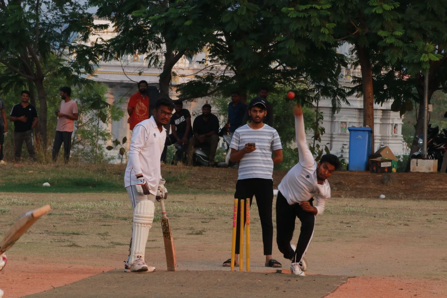 Cricket