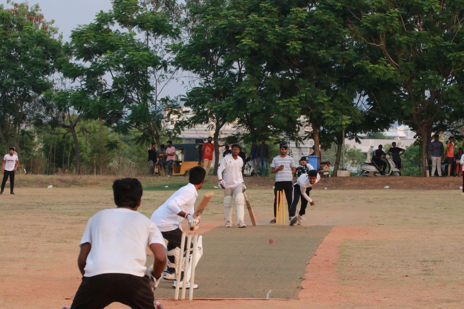 Cricket