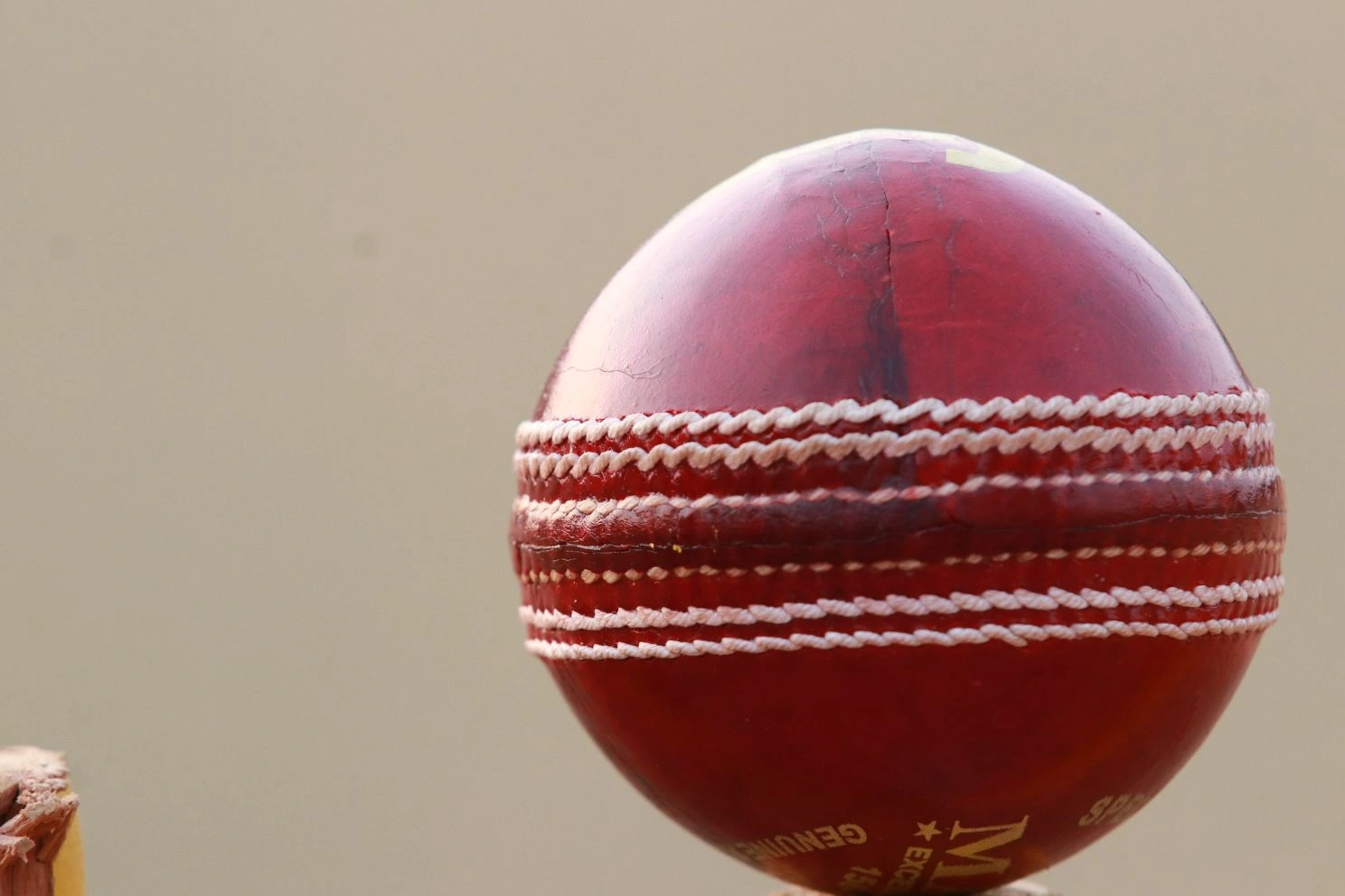 Cricket