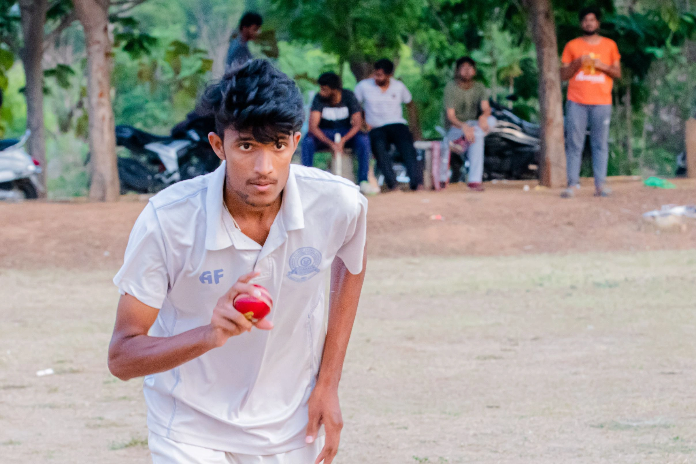 Cricket