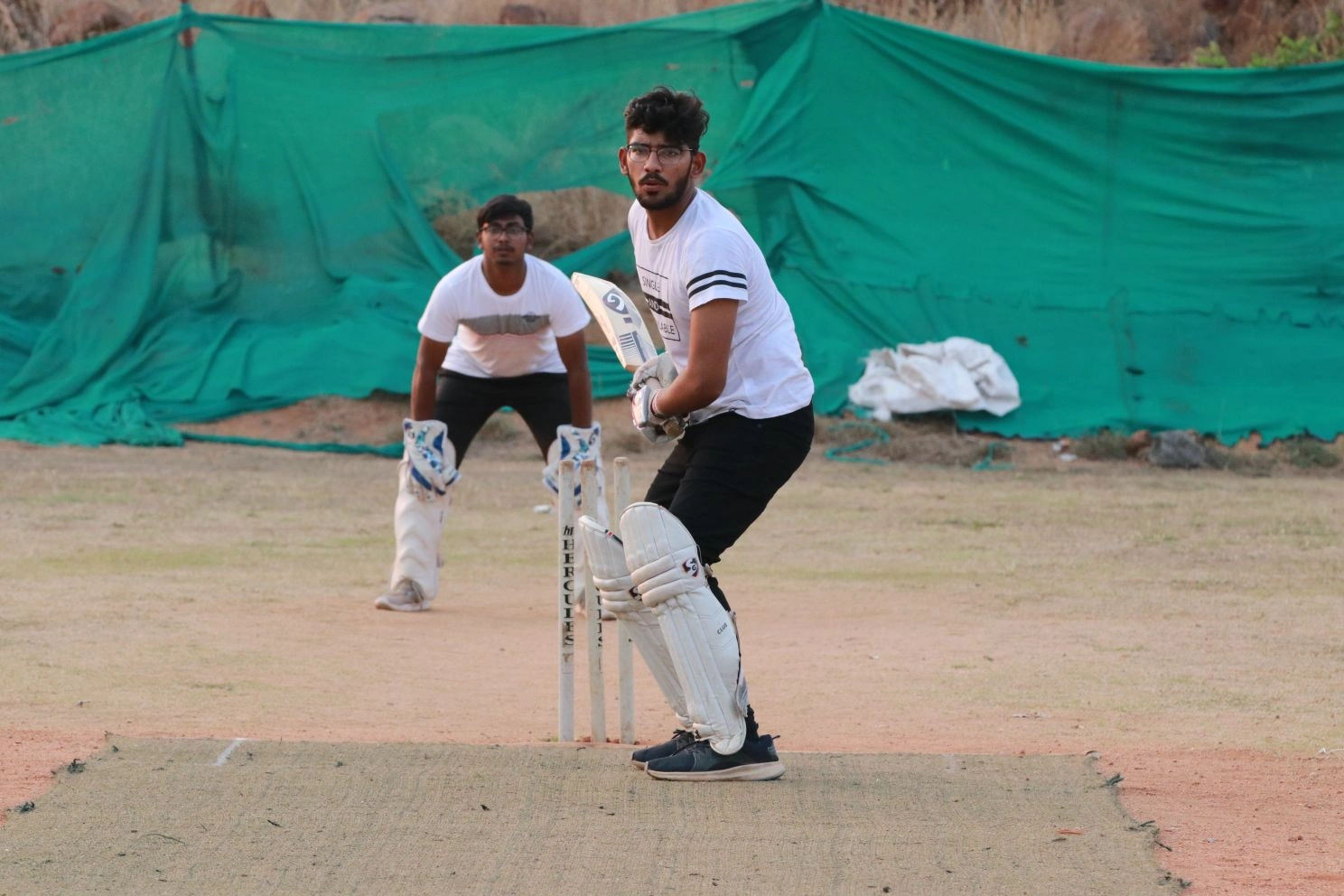 Cricket
