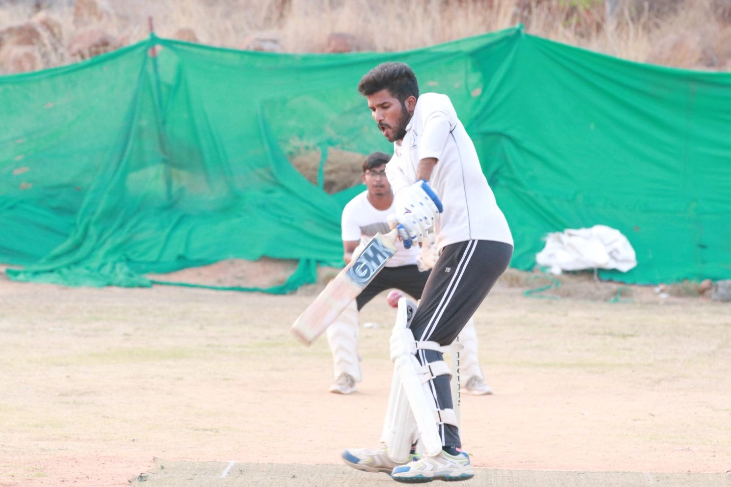 Cricket