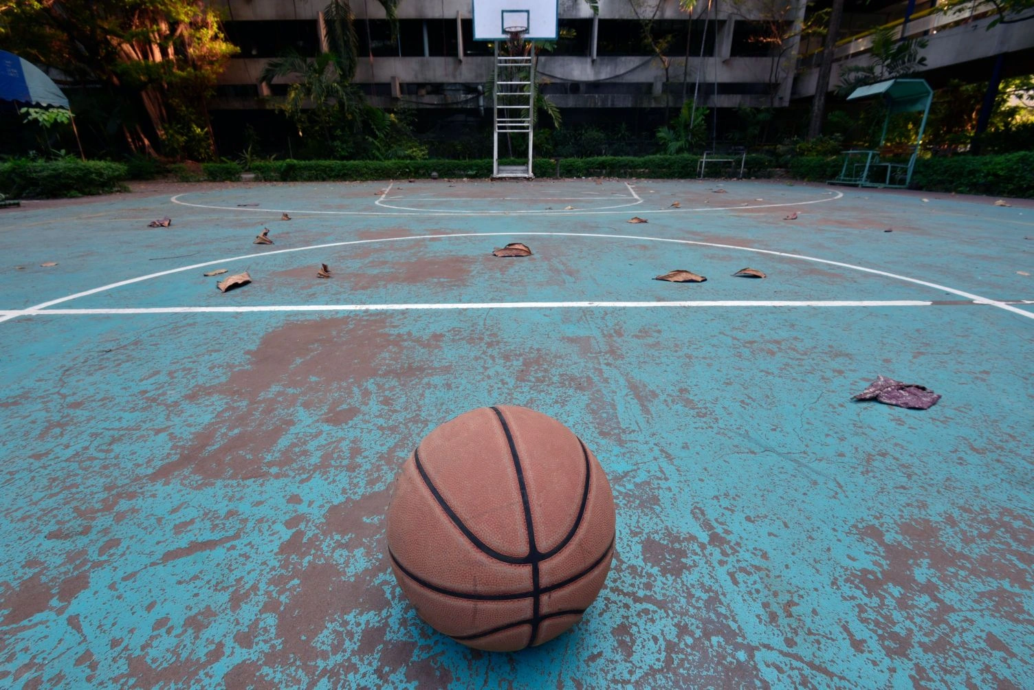 Basketball placed on the Apollo University campus court