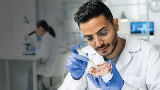 Pharmaceutical Sciences