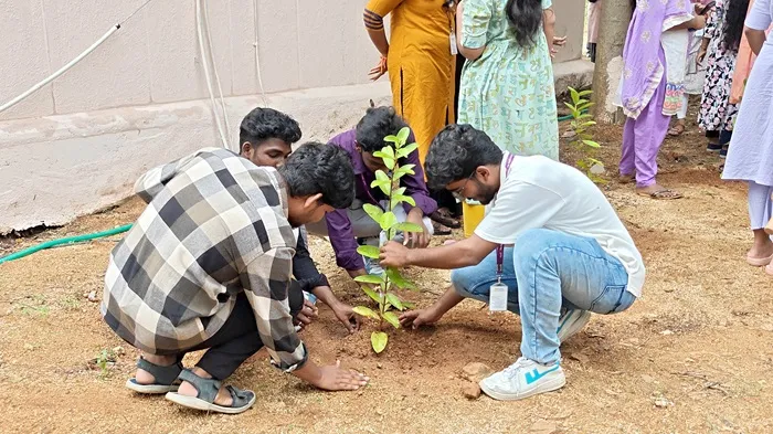 Students and Faculty group placing young trees into the soil at a university grounds