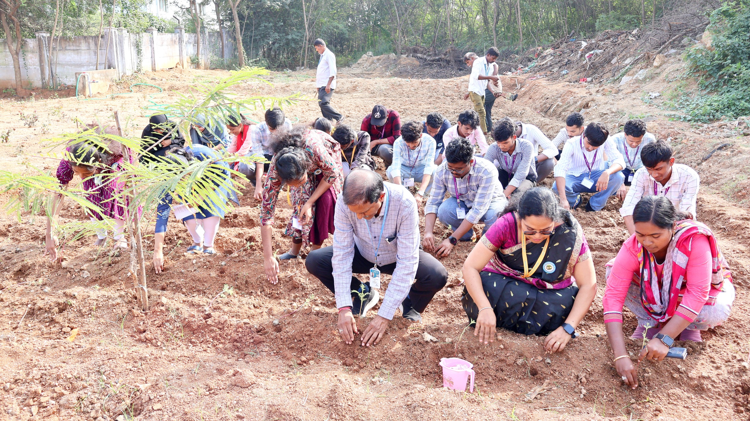 World Soil Day 2025 -Marigold Plantataion