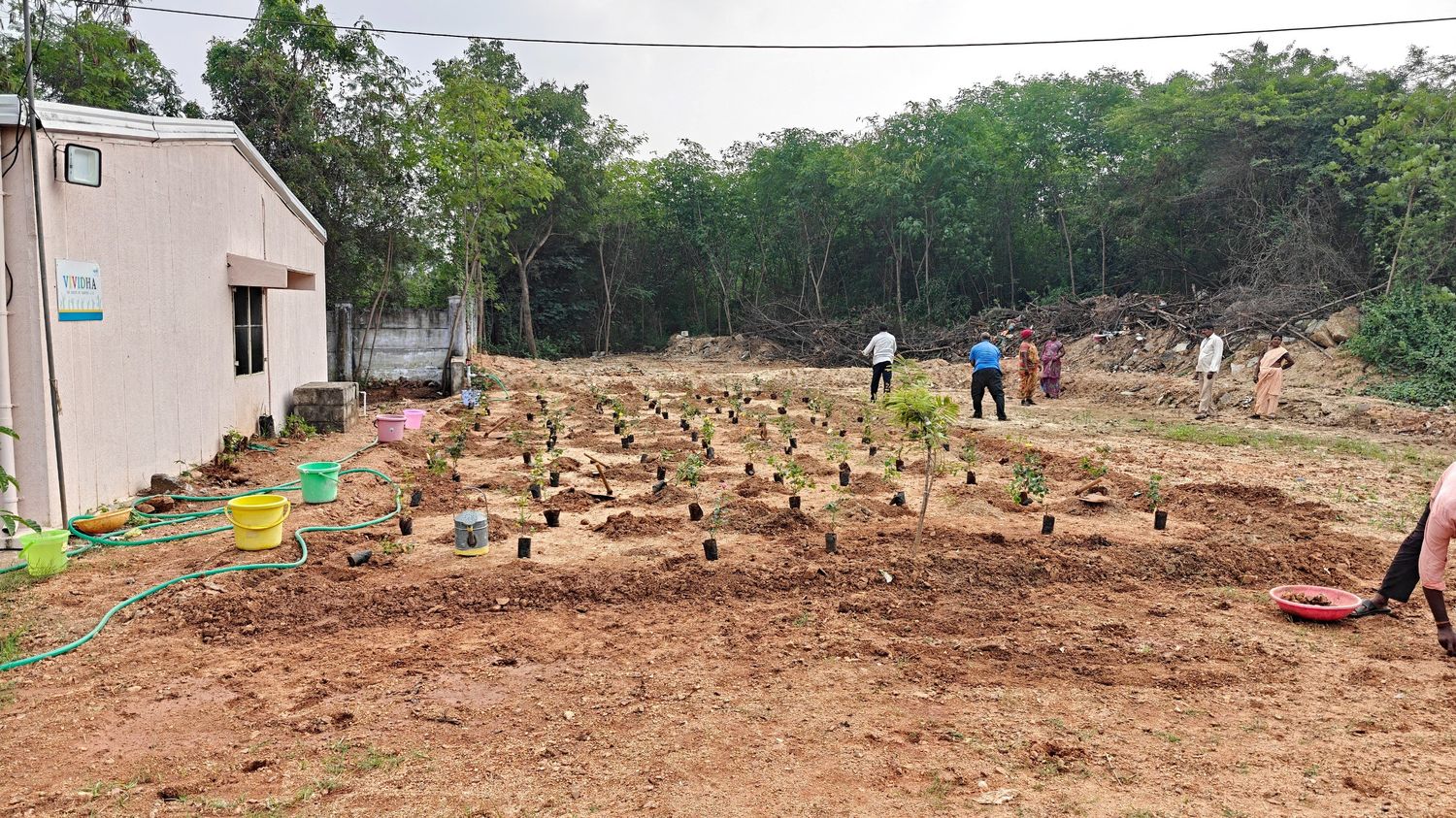 Rose-Garden-Plantataion-Drive-Area